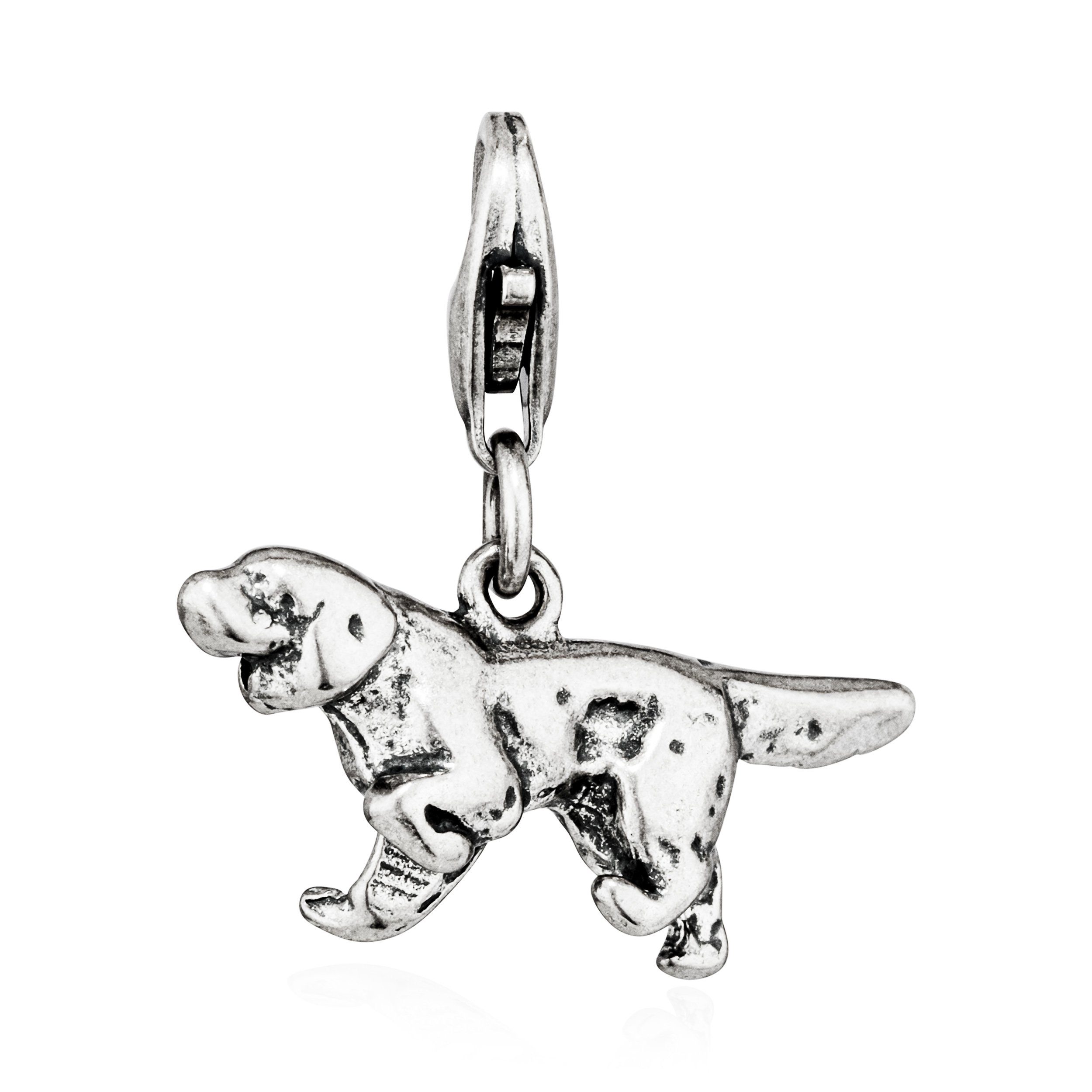 NKlaus Kettenanhänger Charm-Anhänger Rauhaardackel Hund 925 Silber antik 10x21mm Amulett Ta