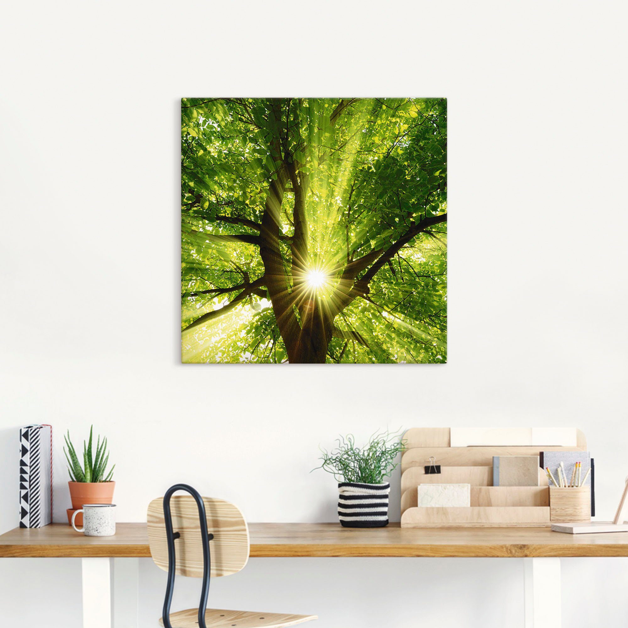 Artland Wandbild Sonne strahlt explosiv durch den Baum, Bäume (1 St), als Leinwandbild, Poster in verschied. Größen