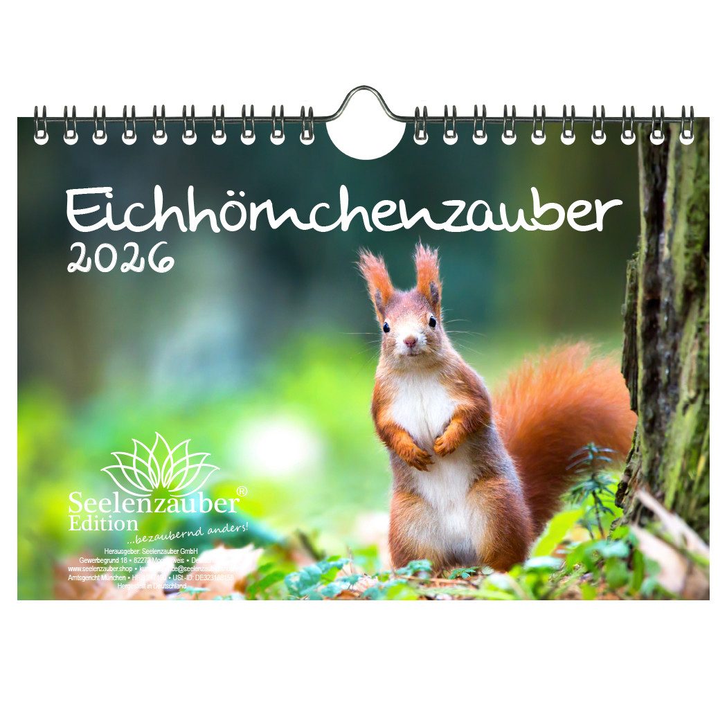 Seelenzauber Настенный календарь Eichhörnchenzauber DIN A5 Календари für 2026 Eichhörnchen Seelenzauber