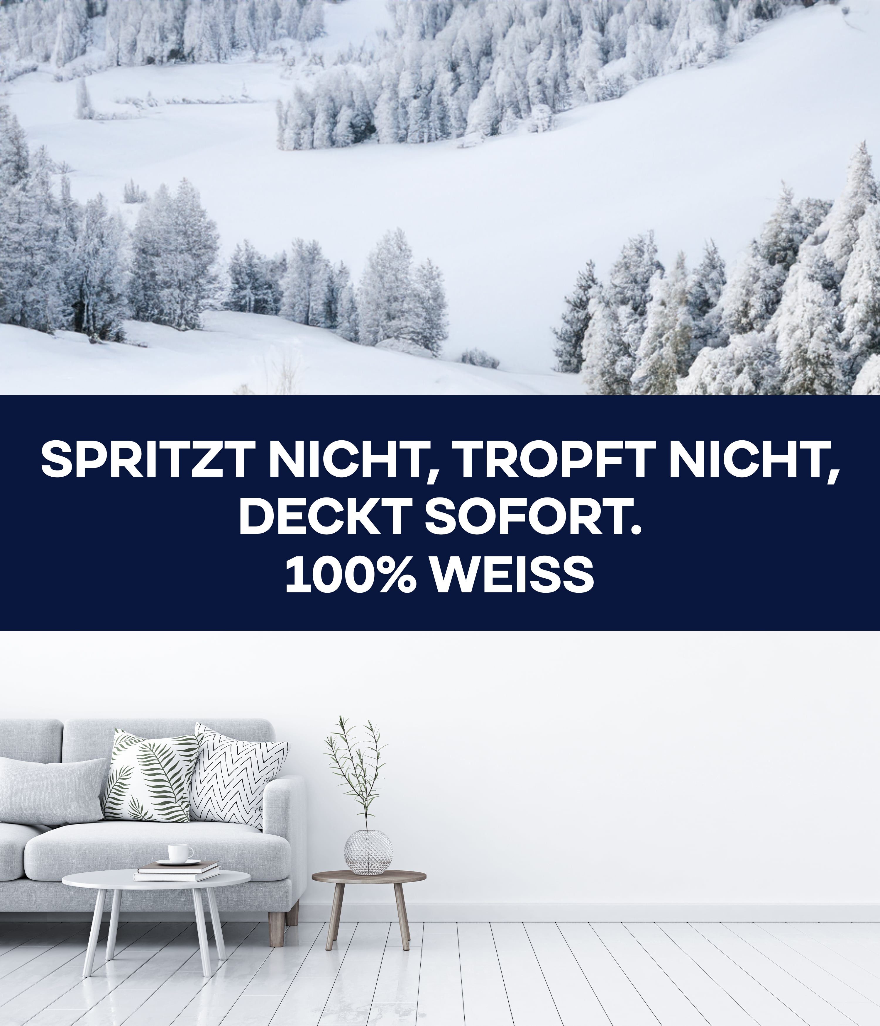 plid Wandfarbe Plid Schneeweiß Wanfarbe innen - Deckenfarbe - Polarweiß - Innenfarbe, Gute Deckkraft, wenig spritzen