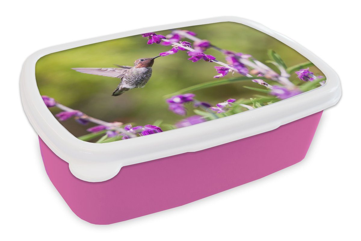 MuchoWow Lunchbox Kolibri - Vogel - Natur, Kunststoff, (2-tlg), Brotbox für Erwachsene, Brotdose Kinder, Snackbox, Mädchen, Kunststoff rosa