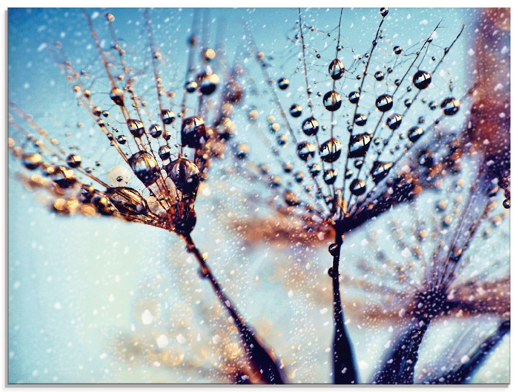 verschiedenen Pusteblume in Artland Größen St), Regen (1 Blumen Glasbild abstrakt,