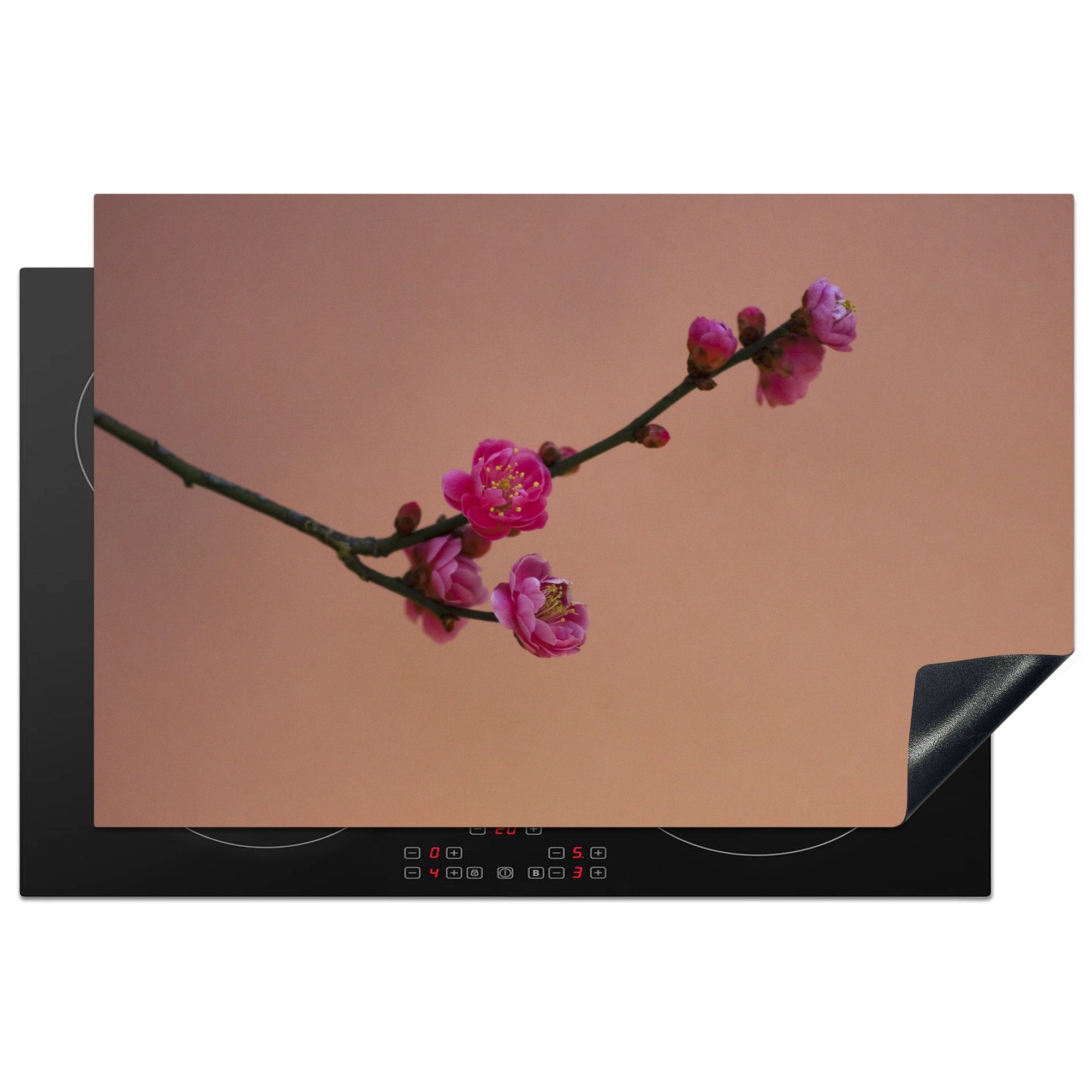 Herdblende-/Abdeckplatte cm, tlg), Induktionskochfeld Rosa japanische für Schutz Pflaumenblüten, küche, Vinyl, MuchoWow Ceranfeldabdeckung 81x52 die (1