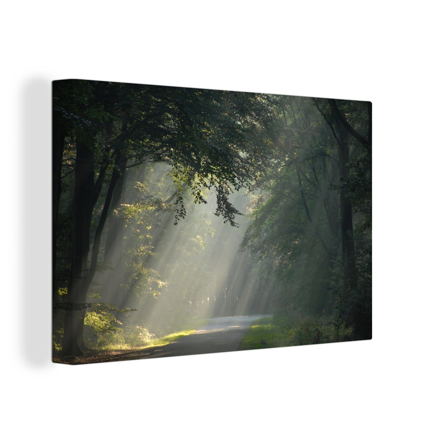 OneMillionCanvasses® Leinwandbild Sonnenstrahlen in einem Wald im Nationalpark Dwingelderveld in den, (1 St), Wandbild Leinwandbilder, Aufhängefertig, Wanddeko, 30x20 cm