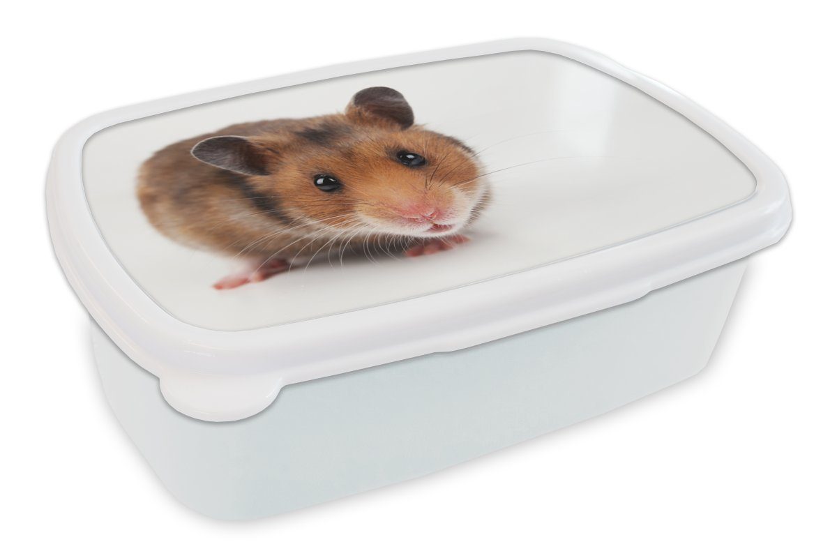 MuchoWow Lunchbox Neugieriger Hamster, Kunststoff, (2-tlg), Brotbox für Kinder und Erwachsene, Brotdose, für Jungs und Mädchen weiß