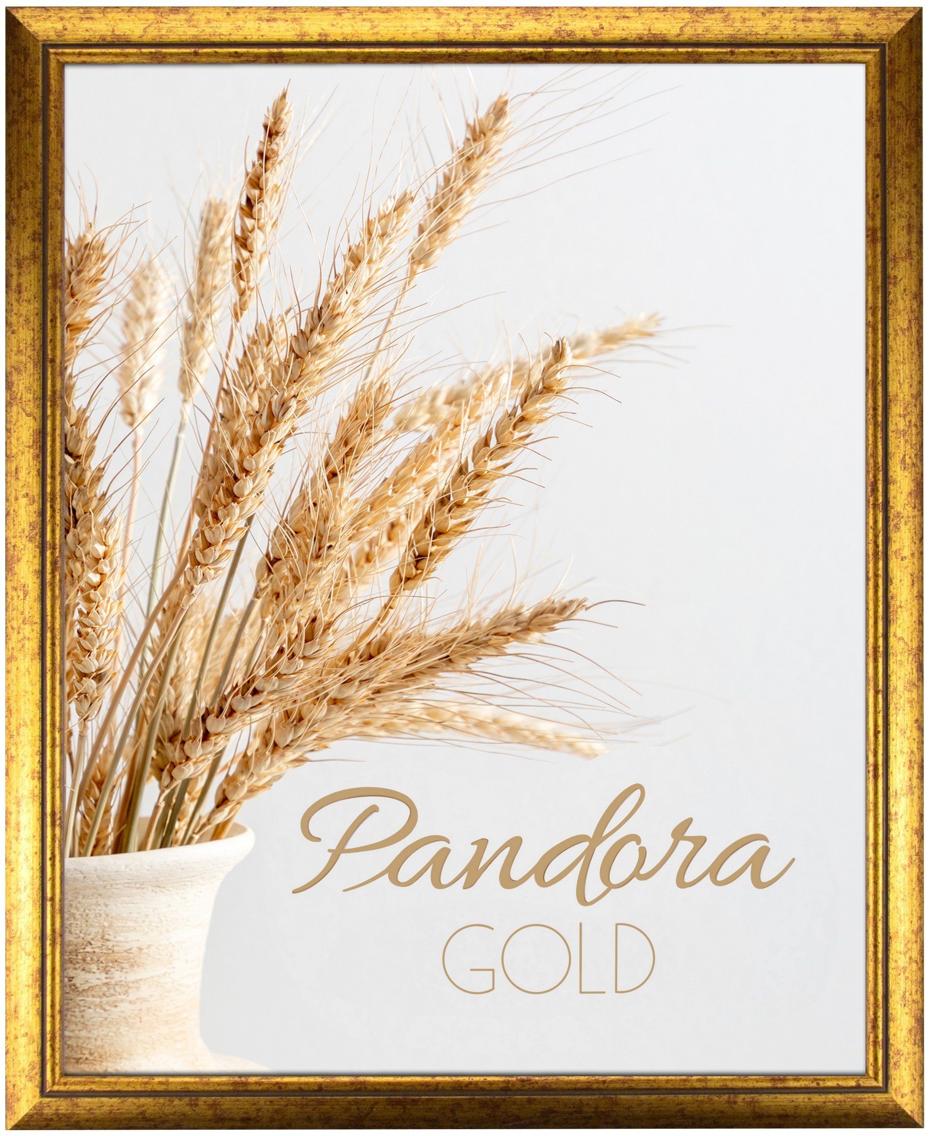 myposterframe Einzelrahmen Bilderrahmen Aged Vintage Pandora, (1 Stück), 30x42 cm, Gold, Echtholz