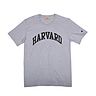 loxgm (grau) harvard