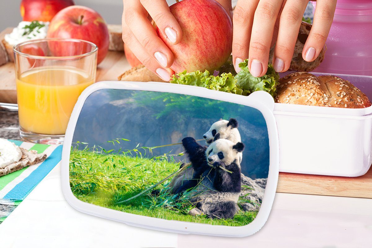 MuchoWow Lunchbox Panda - Bambus für Jungs Mädchen Erwachsene, - für Gras weiß Tiere, und Brotdose, - Kunststoff, und Brotbox Kinder (2-tlg)