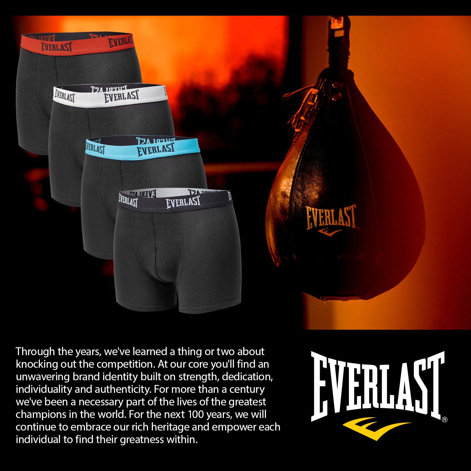 Everlast Boxershorts Herren Unterhosen 4er Pack aus Baumwolle – Bild 5 von 5