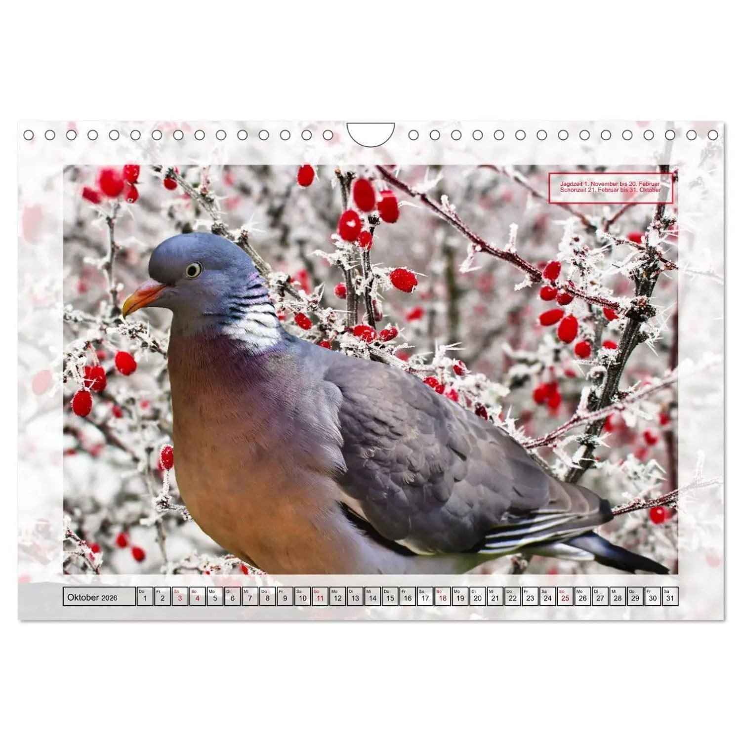 CALVENDO Wandkalender Deutsches Jagdwild - Waidmannsheil (Wandkalender 2026 DIN A4 quer),...
