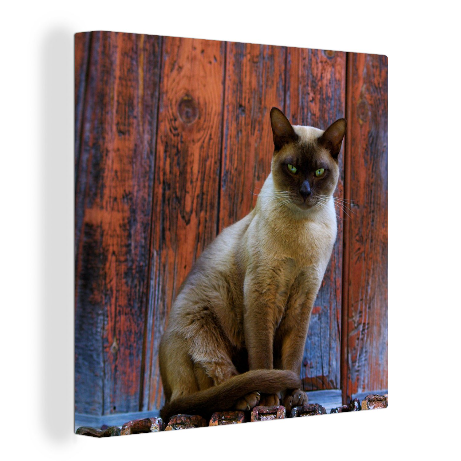 mit Hintergrund, St), auf einem Wohnzimmer Bilder Leinwand für Siamesische (1 OneMillionCanvasses® grünen Leinwandbild Katze Augen Schlafzimmer hölzernen