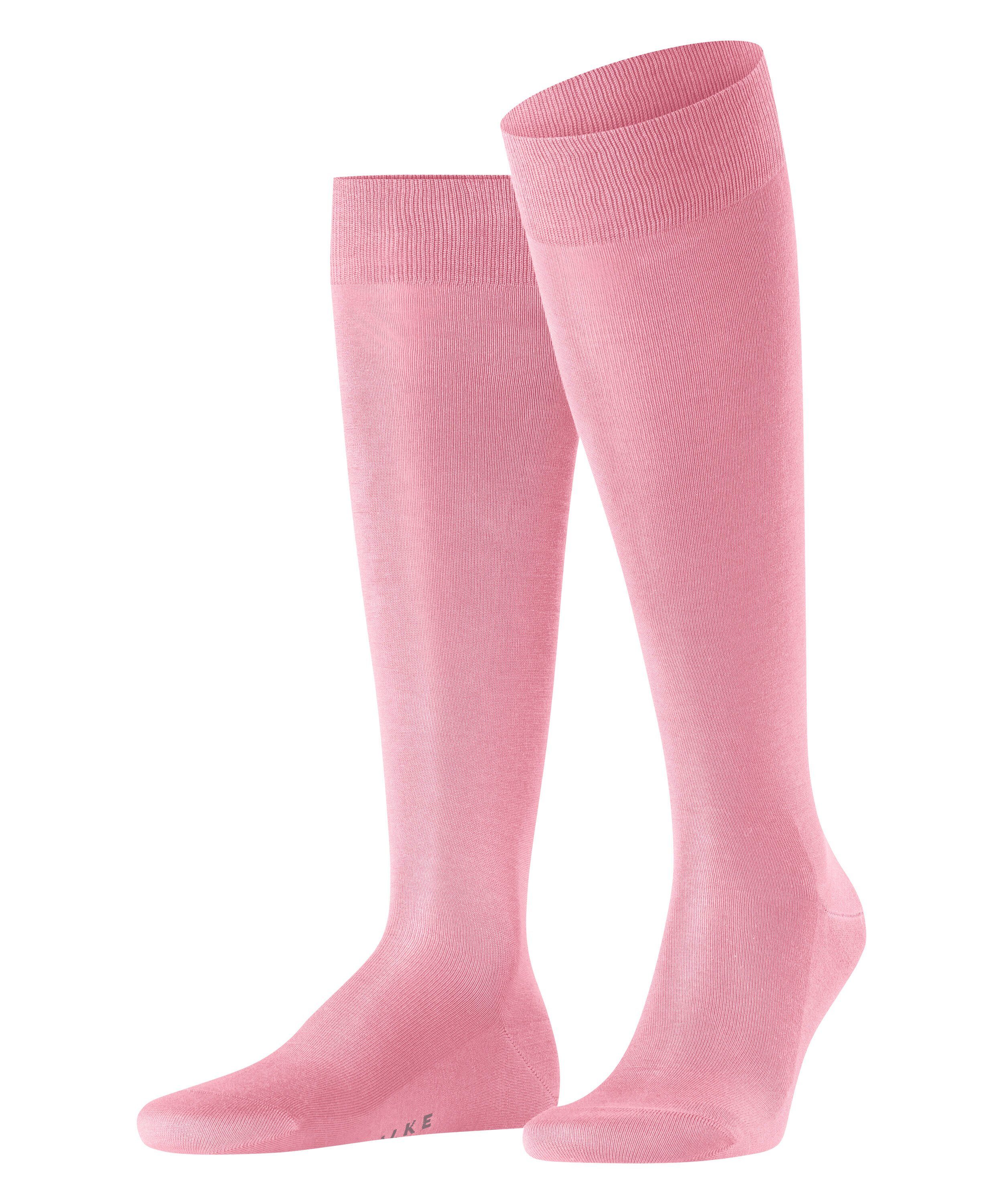 rose water (8804)