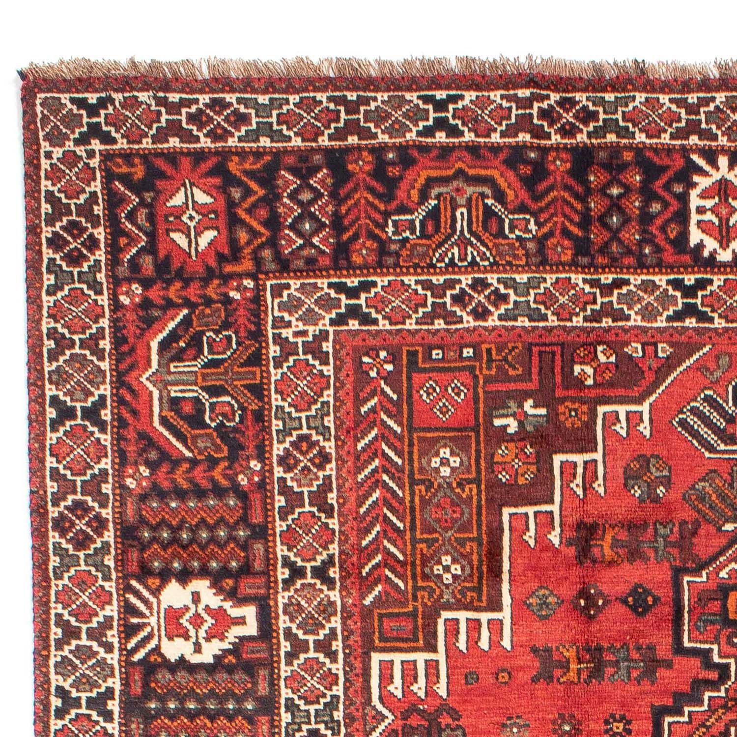 10 Wollteppich rechteckig, morgenland, 210 mit 288 Zertifikat Shiraz chiaro Höhe: Rosso cm, Unikat Medaillon x mm,
