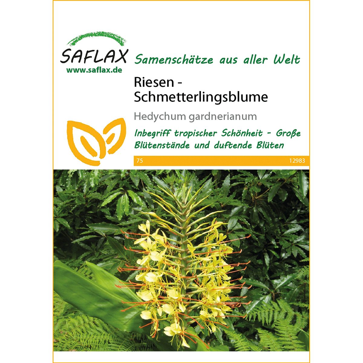 SAFLAX Blumensamen SAFLAX - Riesen - günstig online kaufen
