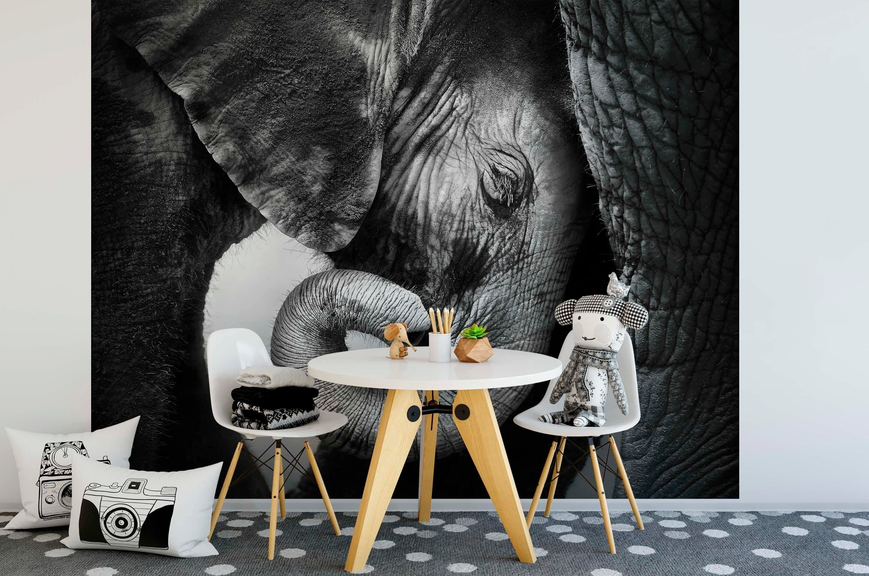 Schwarz Tier Elefanten Tapete Fototapete Elefant glatt, living walls Weiß Familie,