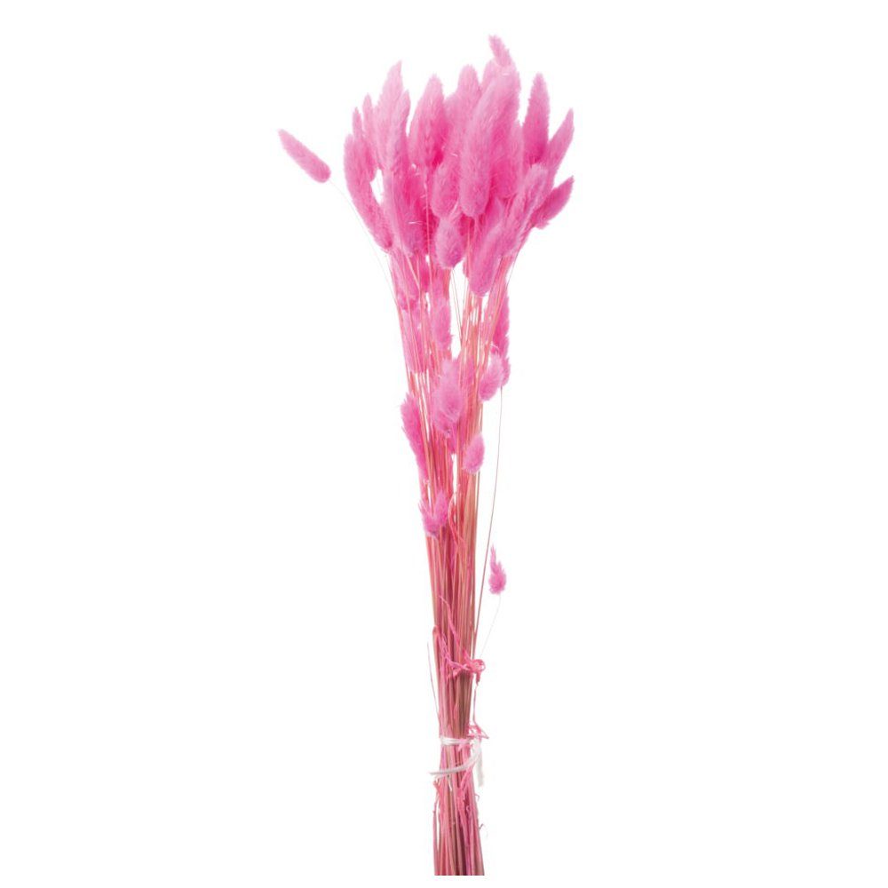 Kunstblume Samtgras Lagurus Trockenpflanze Echtgras Beutel 60-70 cm pink Samtgras, matches21 HOME & HOBBY, Höhe 60 cm rosa