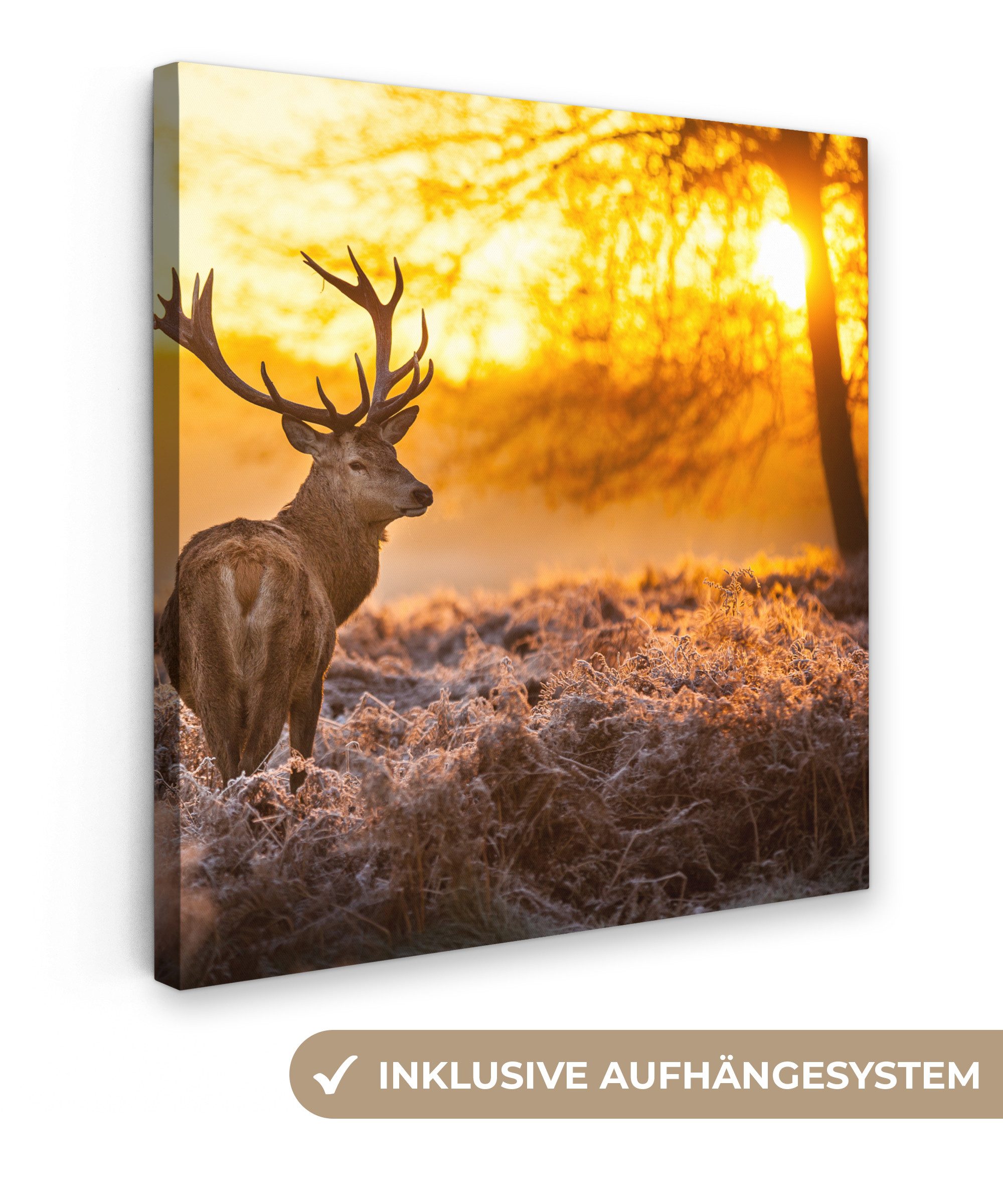 OneMillionCanvasses® Leinwandbild Hirsche - Tiere - Sonnenuntergang - Winte günstig online kaufen