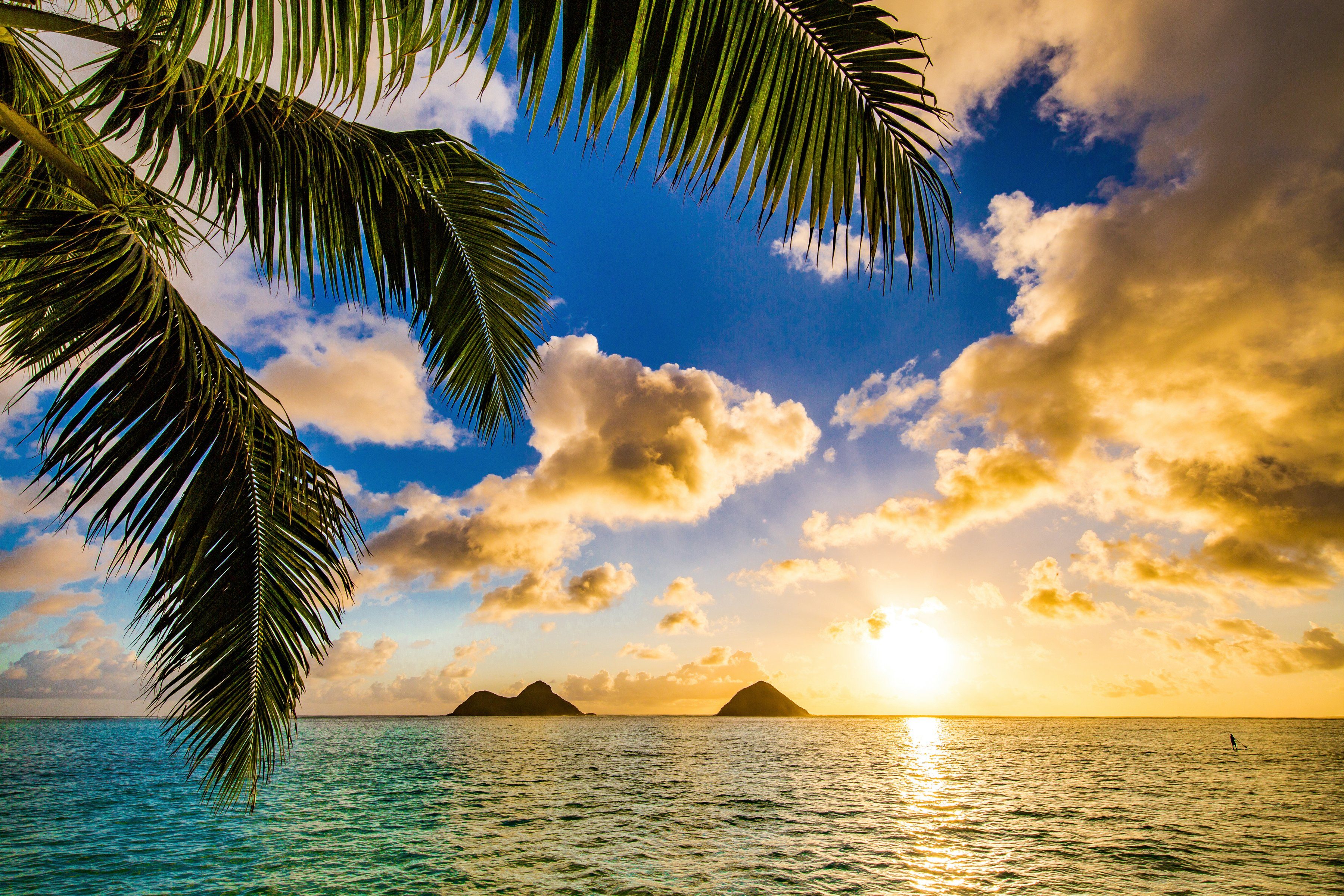 INSEL PALME MEER Papermoon KARIBIK SONNENUNTERGANG Fototapete STRAND-PALMEN