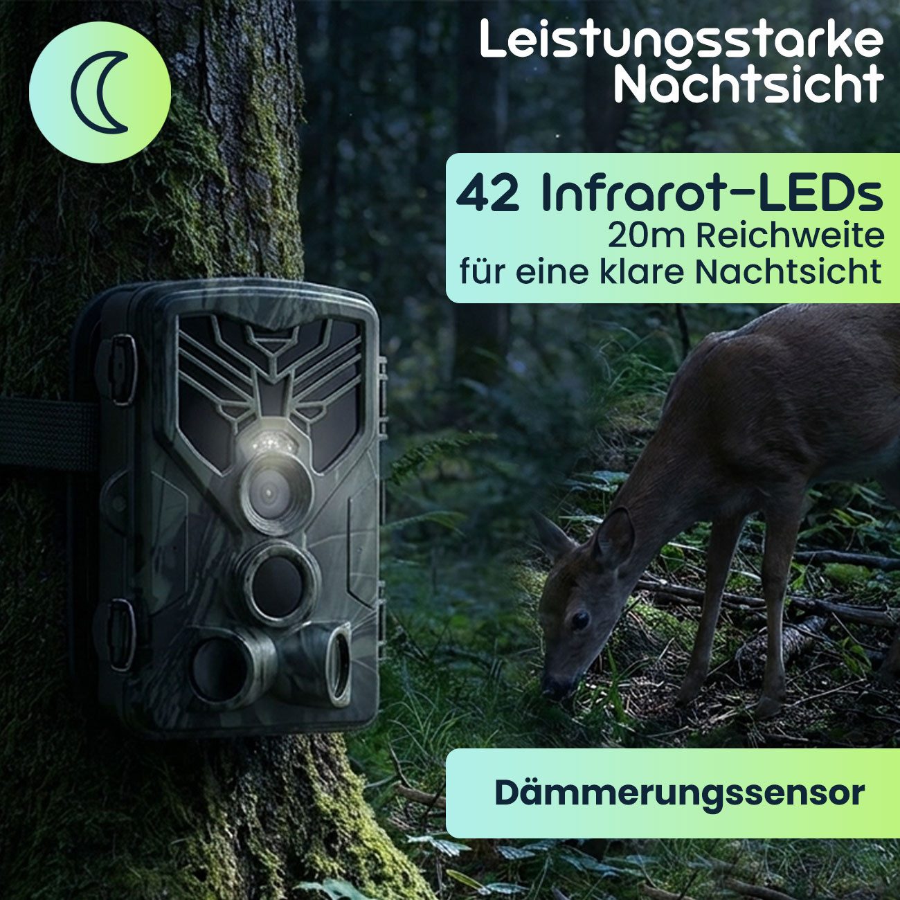 Casativo Wildkamera WLAN-Liveübertragung, 2 PIR, Nachtsicht & 8 Mon. Stand-by (1-tlg., 4K-UHD-Wildkamera) – Bild 3 von 5