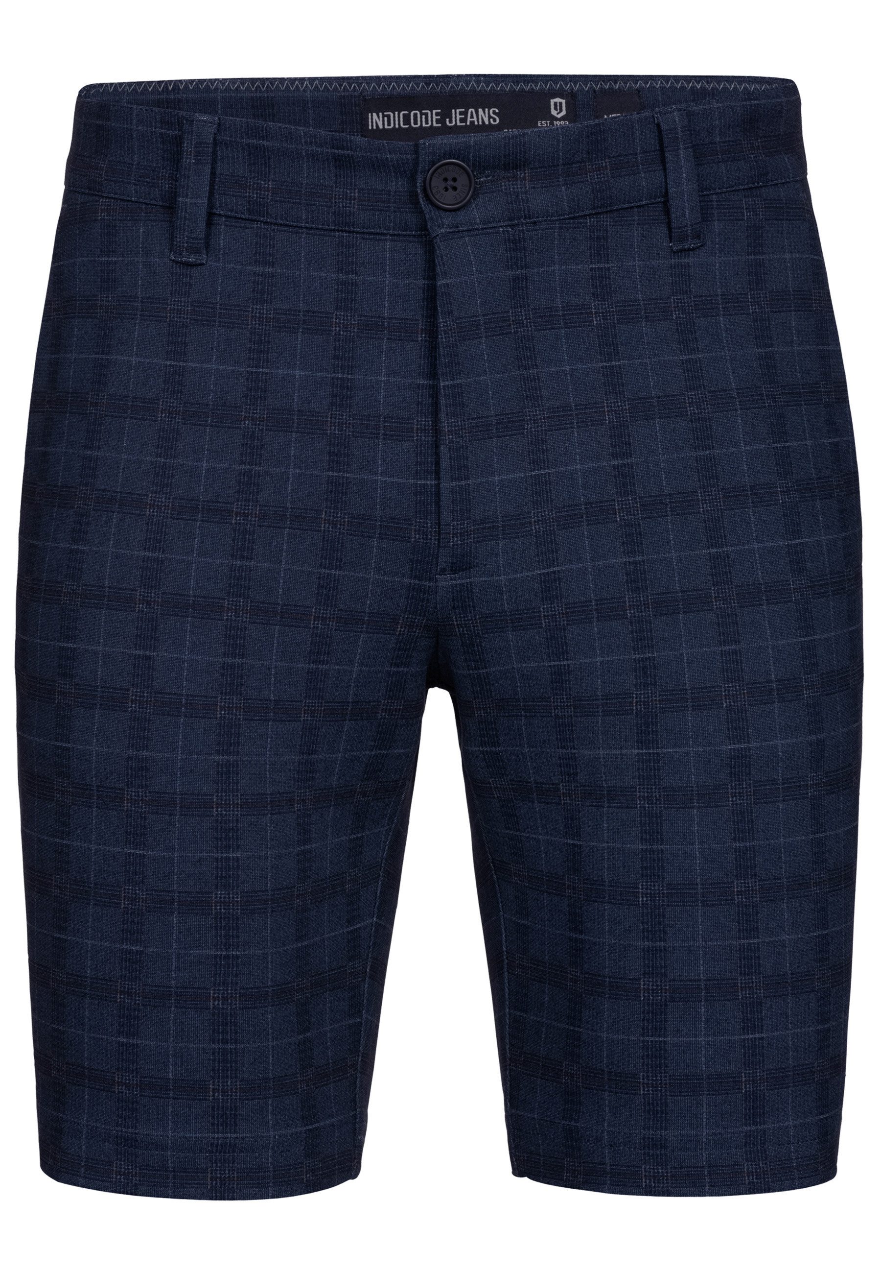 Navy Check