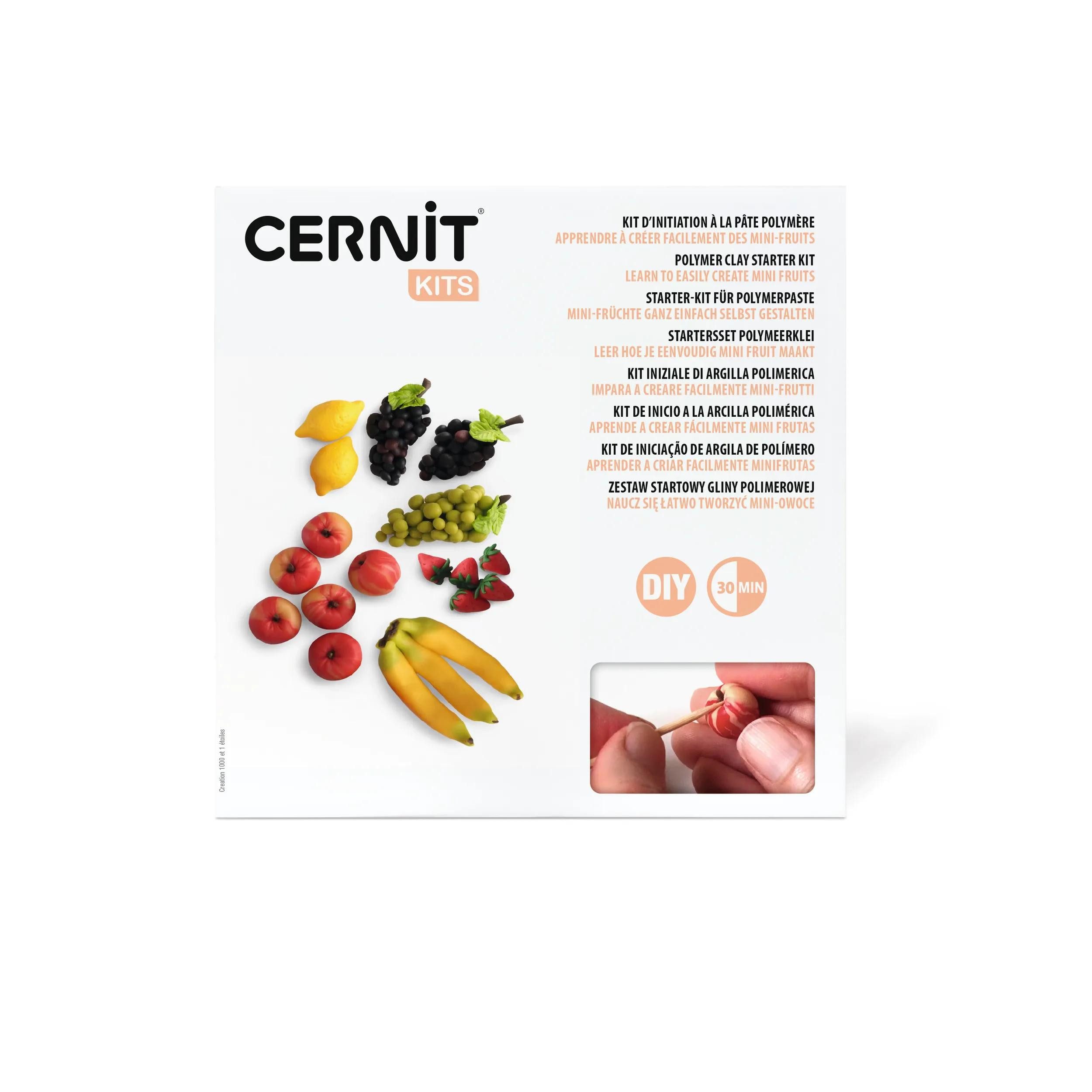 Cernit Modelliermasse Starter-Set, Miniaturfruechte CEKIT005C, CERNIT