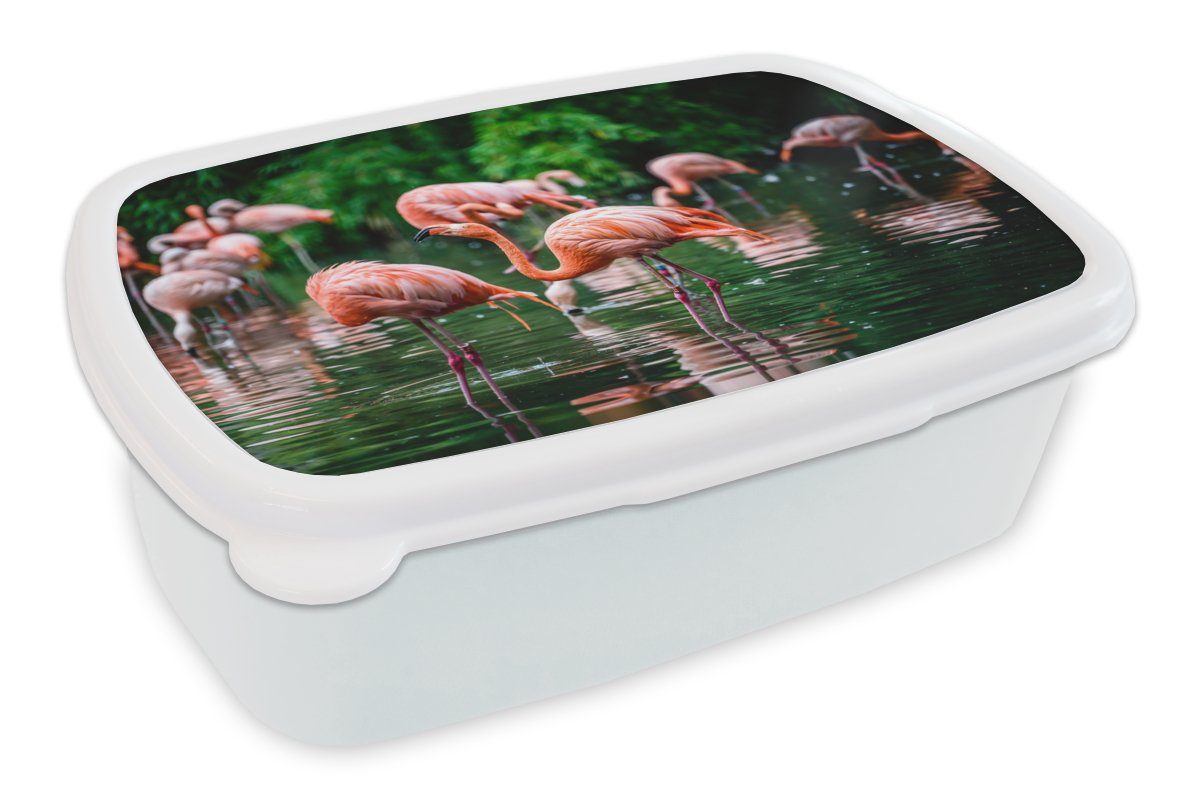 MuchoWow Lunchbox Flamingo - Tropisch - Vogel - Wasser - Rosa, Kunststoff, (2-tlg), Brotbox für Kinder und Erwachsene, Brotdose, für Jungs und Mädchen weiß | Lunchboxen
