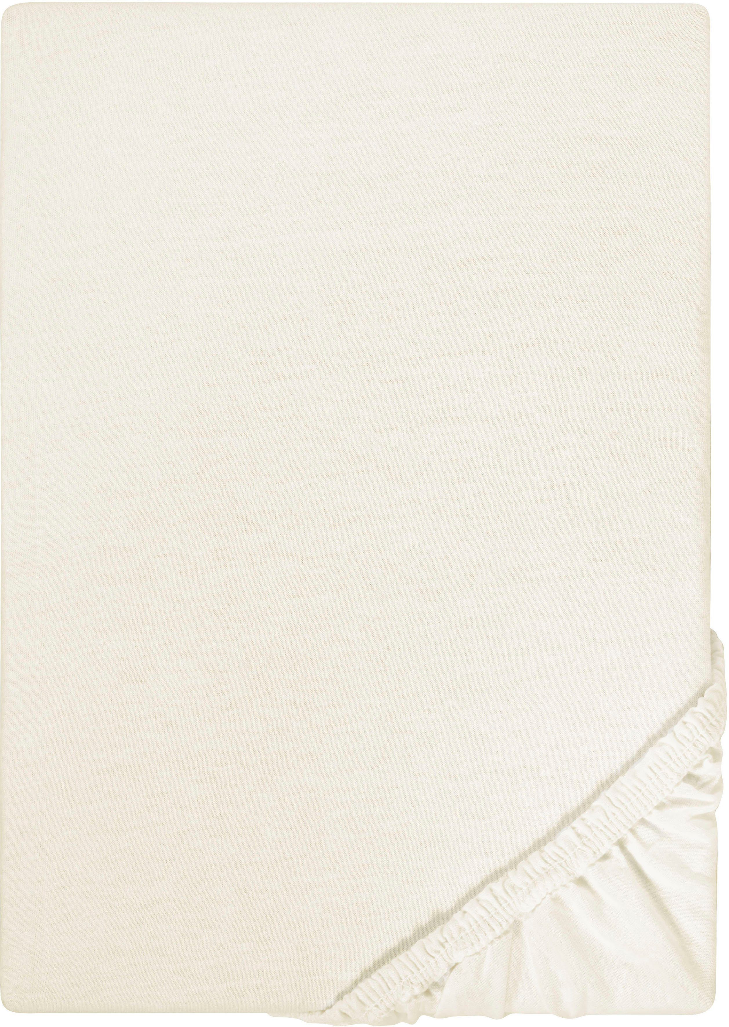 Castell - Markenbettwäsche Spannbettlaken Jersey in Gr. 90x200, 140x200 oder 180x200 cm, Jersey, Gummizug: rundum, (1 Stück), aus Baumwolle, für Matratzen bis 22 cm Höhe, Bettlaken, Spannbetttuch
