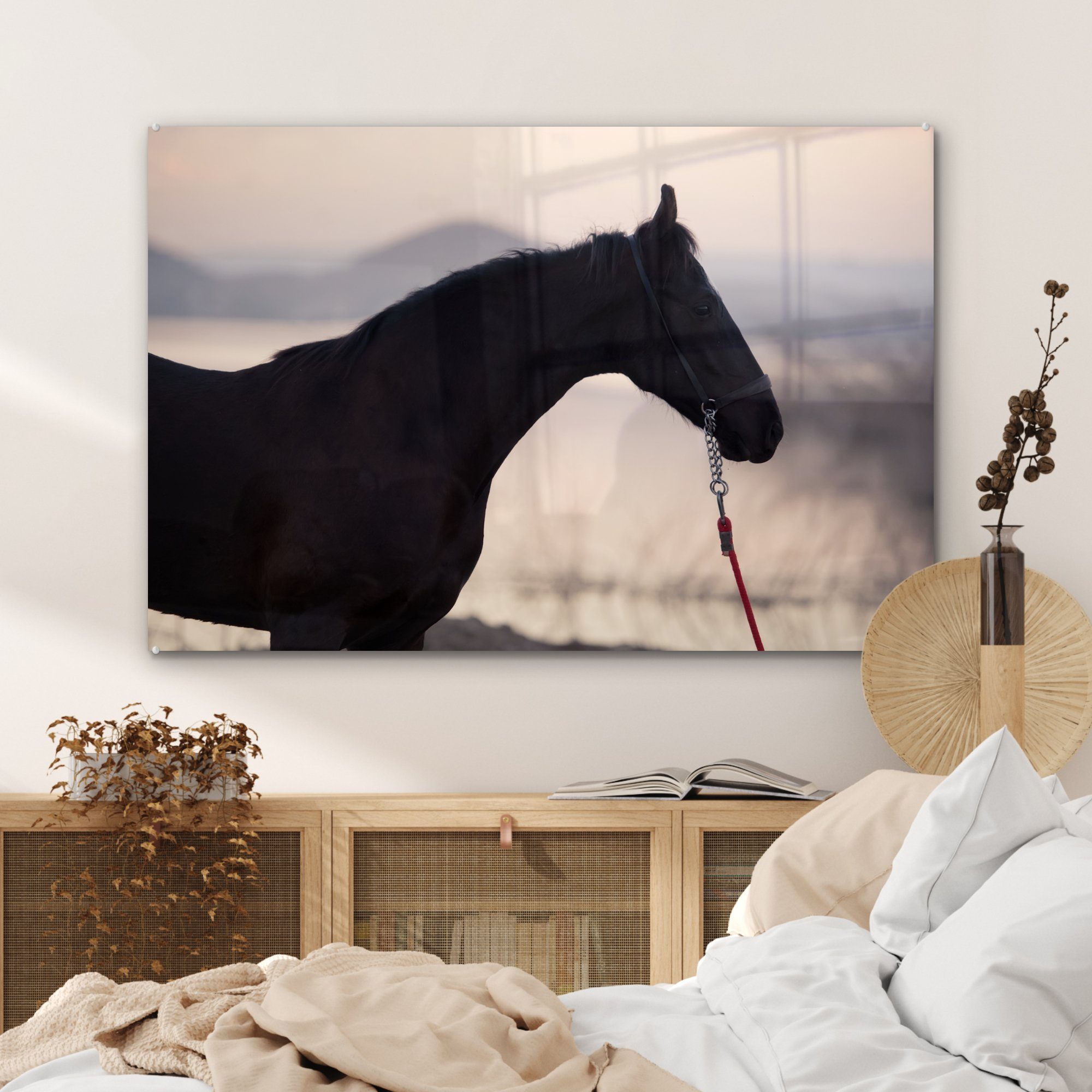 Pferd & (1 Sonnenaufgang Schlafzimmer Wohnzimmer - - St), Marwari, Acrylglasbilder Acrylglasbild MuchoWow