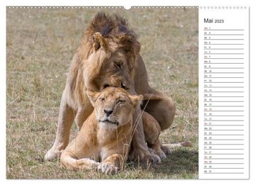 CALVENDO Wandkalender Emotionale Momente: Löwenleben (Premium, hochwertiger DIN A2 Wandkalender 2023, Kunstdruck in Hochglanz)