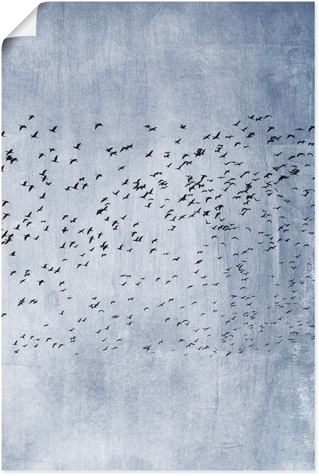 St), oder Größen Leinwandbild, Wandbild versch. Vogelbilder Alubild, Blau, Moving als in Wandaufkleber - Poster On Artland (1