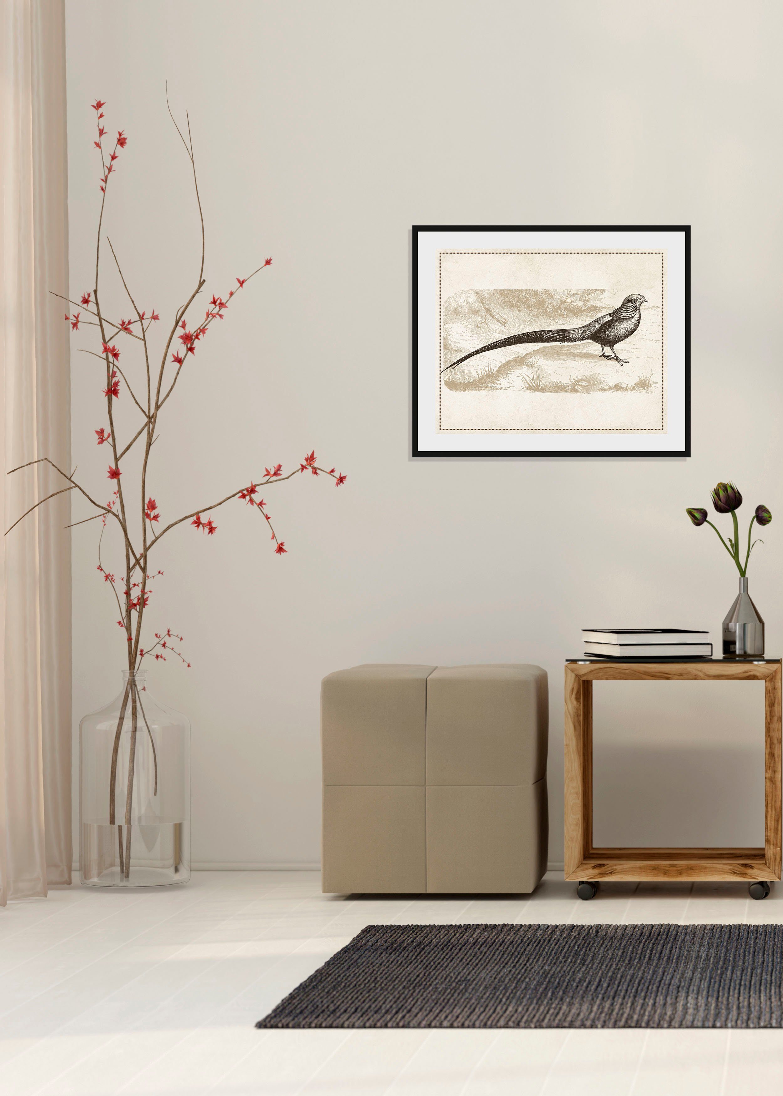 queence Bild Daniel, Kunst, Vogelbilder, Vögel, historische Ereignisse (1 St), HD Premium Poster-Druck inkl. Holzrahmen