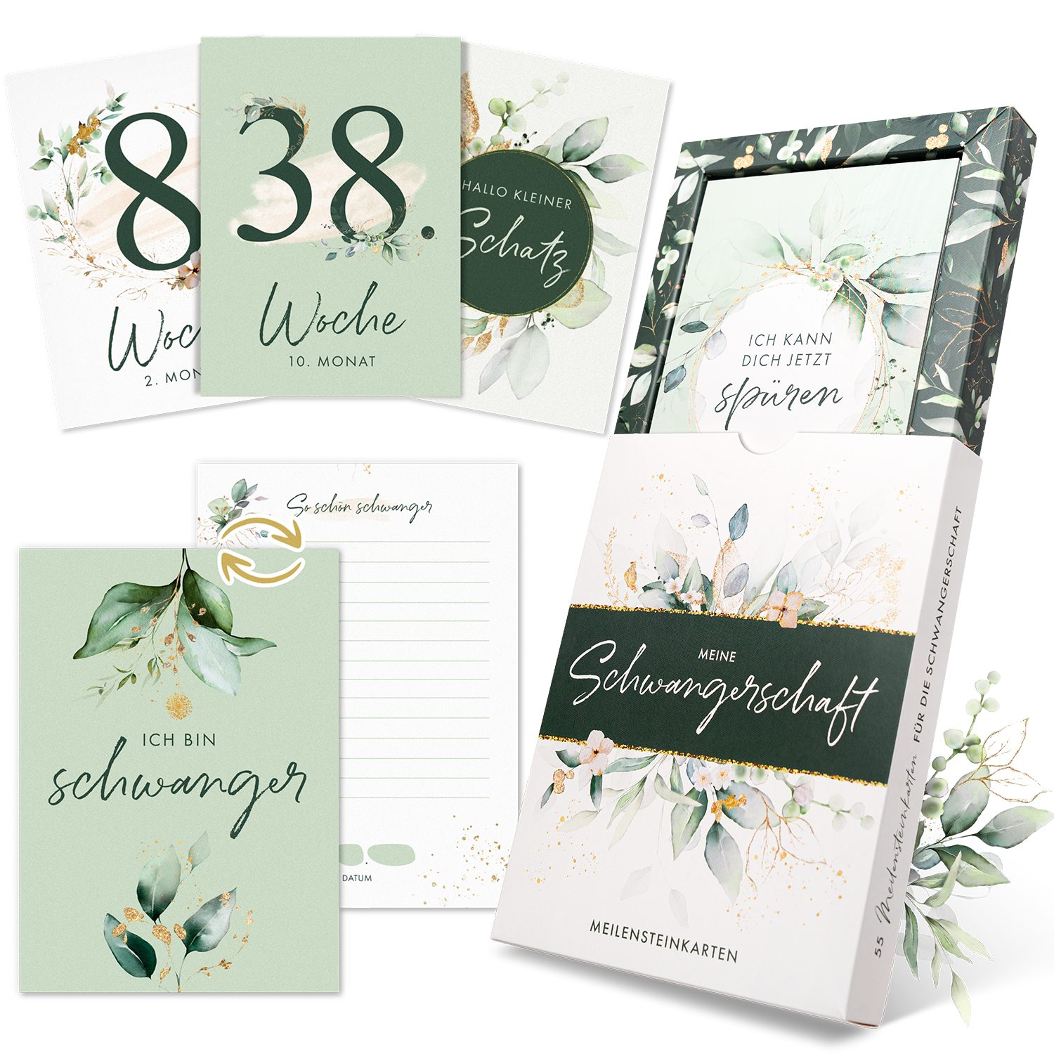 Eulentaler Geschenkkarte I 55 Meilensteinkarten für deine Schwangerschaft I, Von Hebammen gestaltet I Handgemalte Illustrationen Inkl. Geschenkbox
