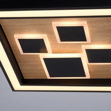 Paul Neuhaus LED Deckenleuchte ELIZA, LED fest integriert, Warmweiß