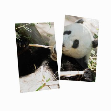 Wallario Herd-Abdeckplatte Panda knabbert an Bambusstücken, ESG-Sicherheitsglas, (Glasplatte, 2 tlg., inkl. 5mm Noppen), verschiedene Größen