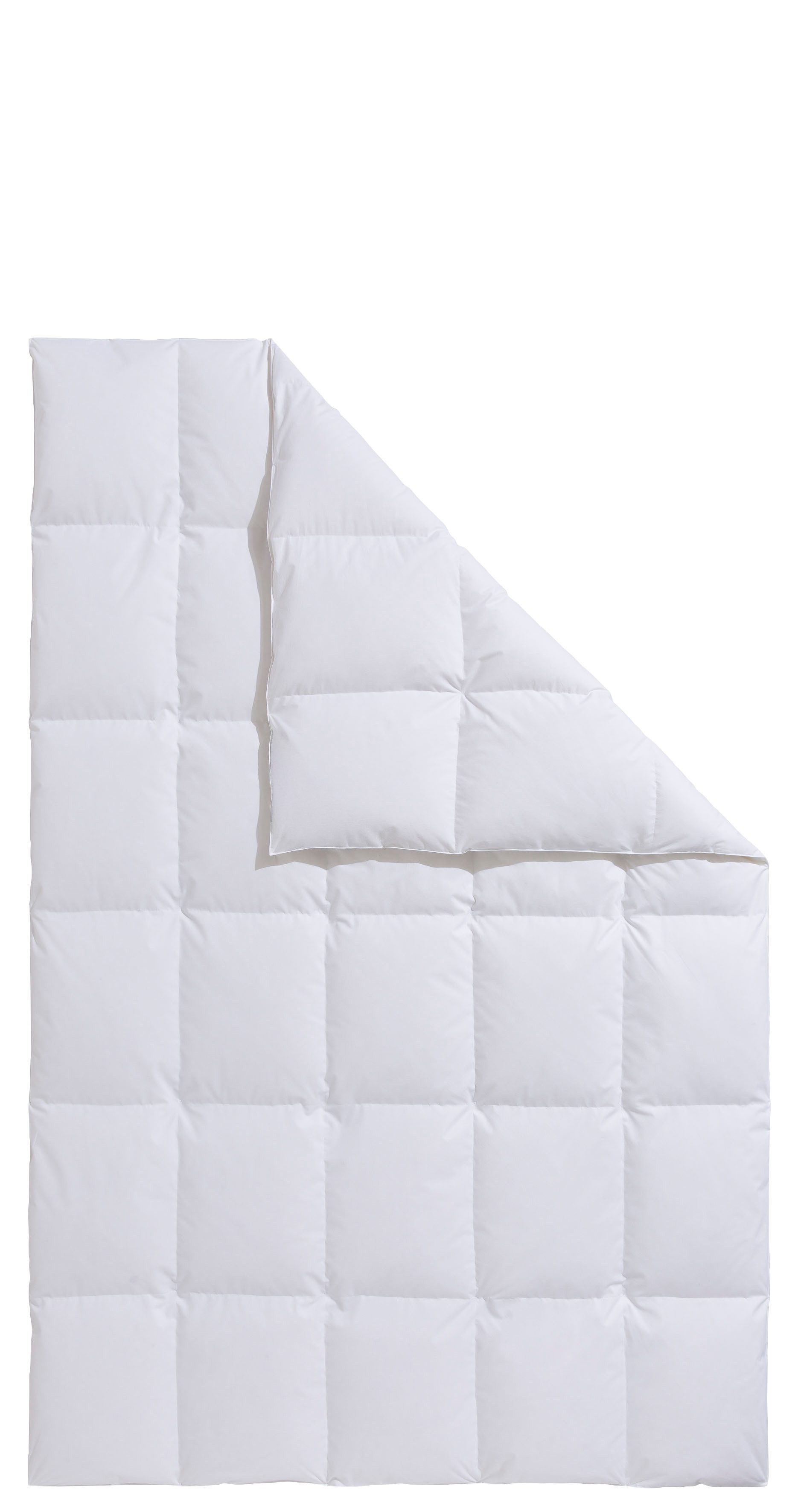 OTTO home Daunenbettdecke Köniz, Bettdecke 135x200 cm, 155x220 cm und weitere Größen, Füllung: 60% Daunen, 40% Federn, Bezug: 100% Baumwolle, Bettdecken, Sommer – Bild 2 von 5