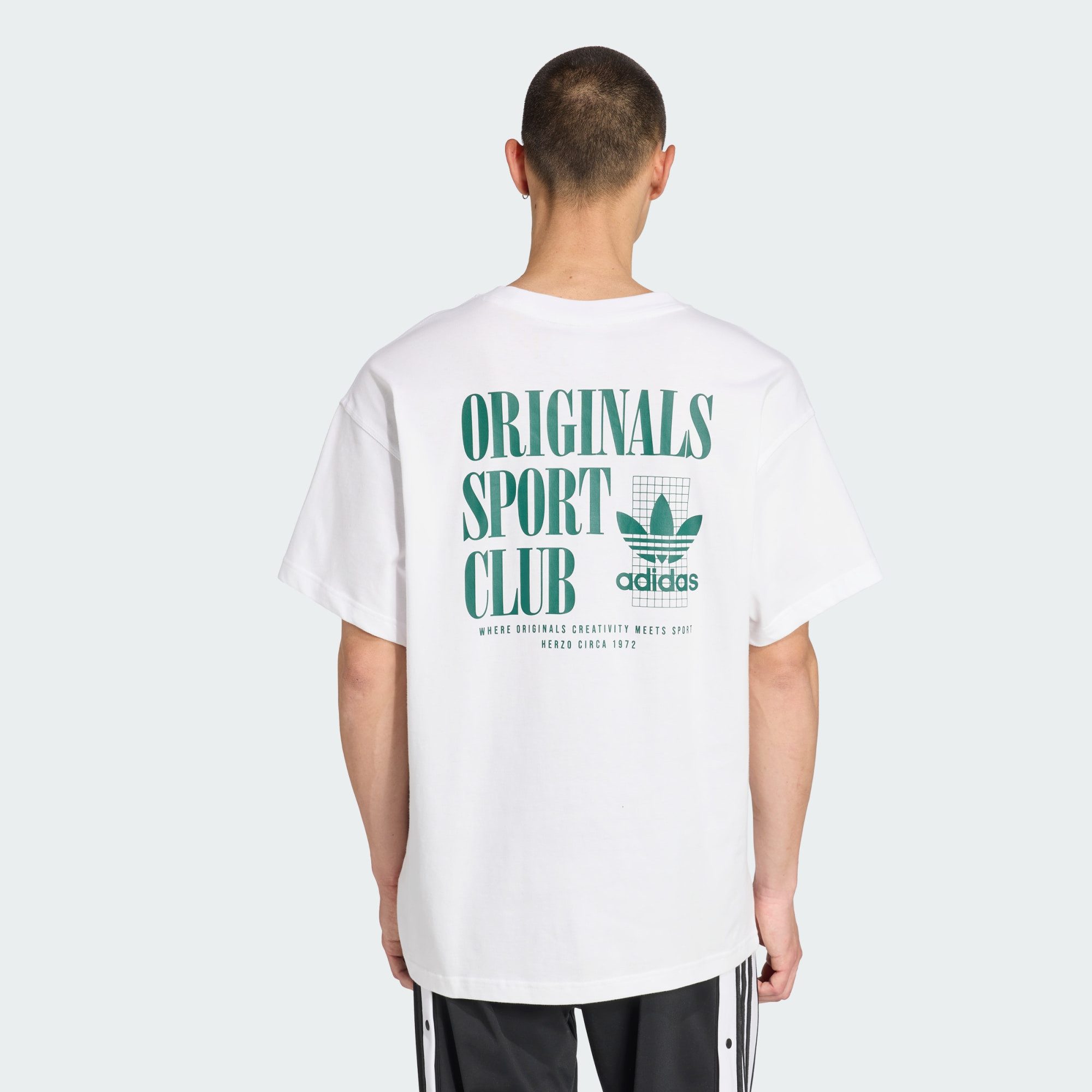 adidas Originals T-Shirt SPORT CLUB GFX günstig online kaufen