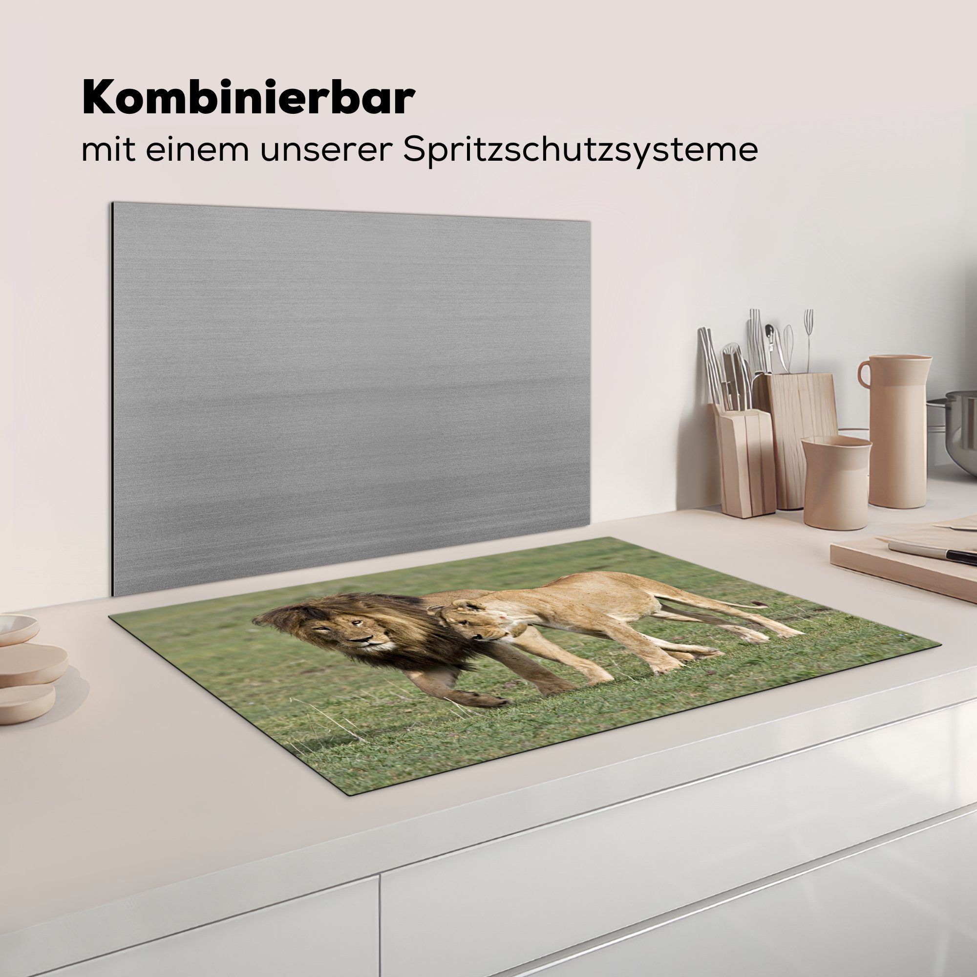 cm, Ceranfeldabdeckung Gras, 81x52 Löwin Vinyl, Induktionskochfeld MuchoWow für - küche, Schutz - Herdblende-/Abdeckplatte die (1 Löwe tlg),