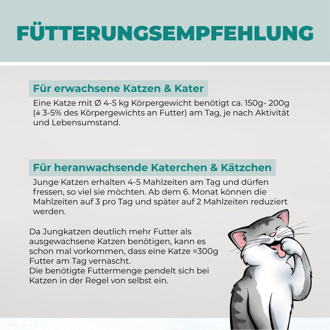 Pfotenliebe Bio-Fleischtöpfchen mit Pute 6x400g, Nassfutter für: Katzen