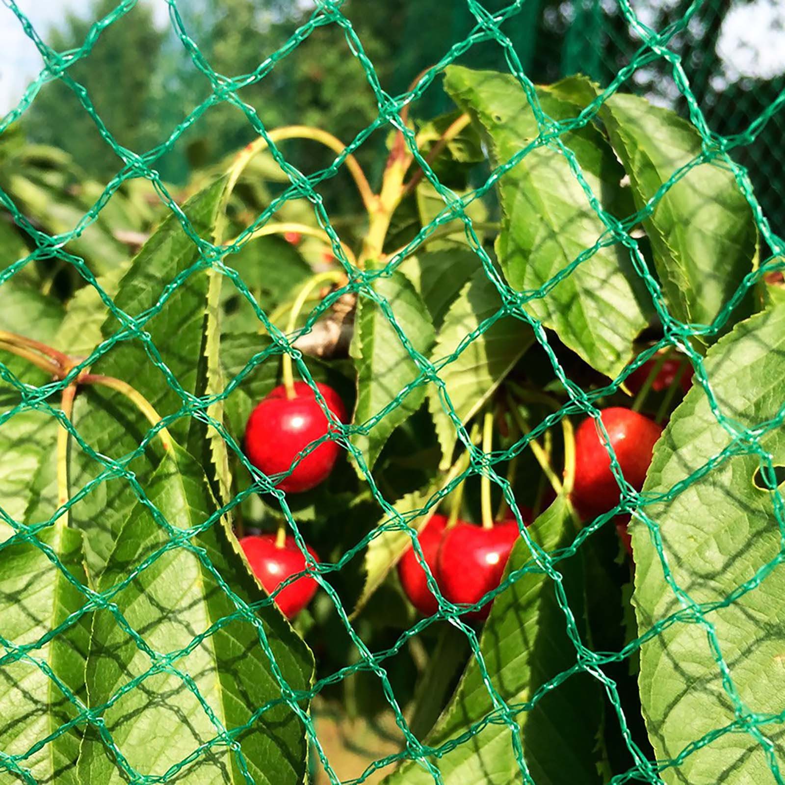 Zill Schutzplane florinotex® Vogelschutznetz Maschenweite 20 x 20 mm 4 x 5 m (1 Stück)