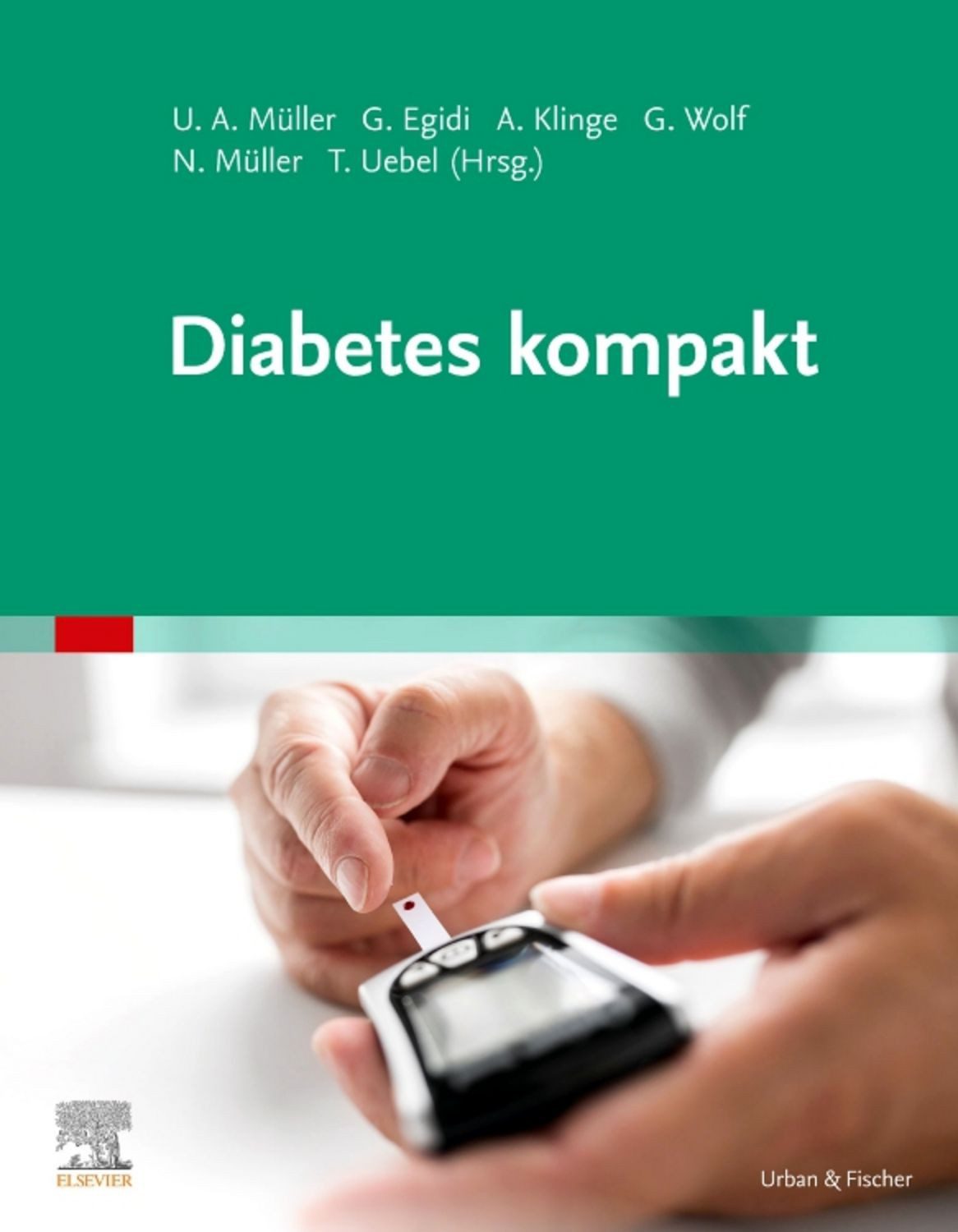 Diabetes kompakt / diverse