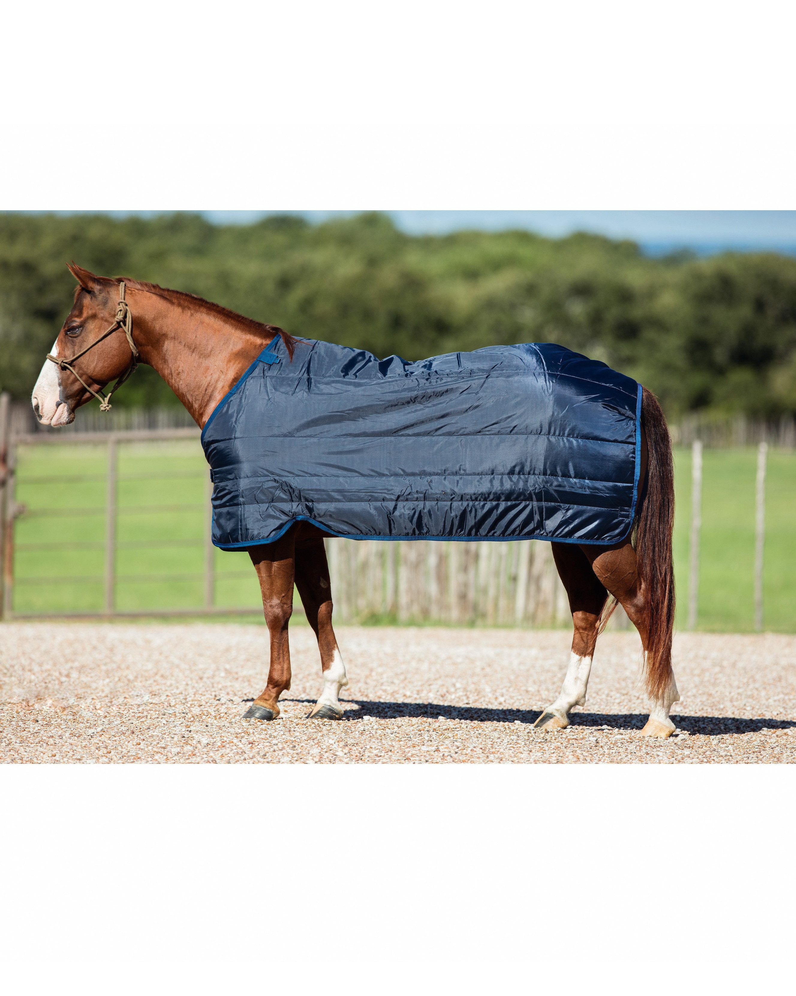 Horseware Pferde-Unterdecke Unterdecke Liner 100g in navy
