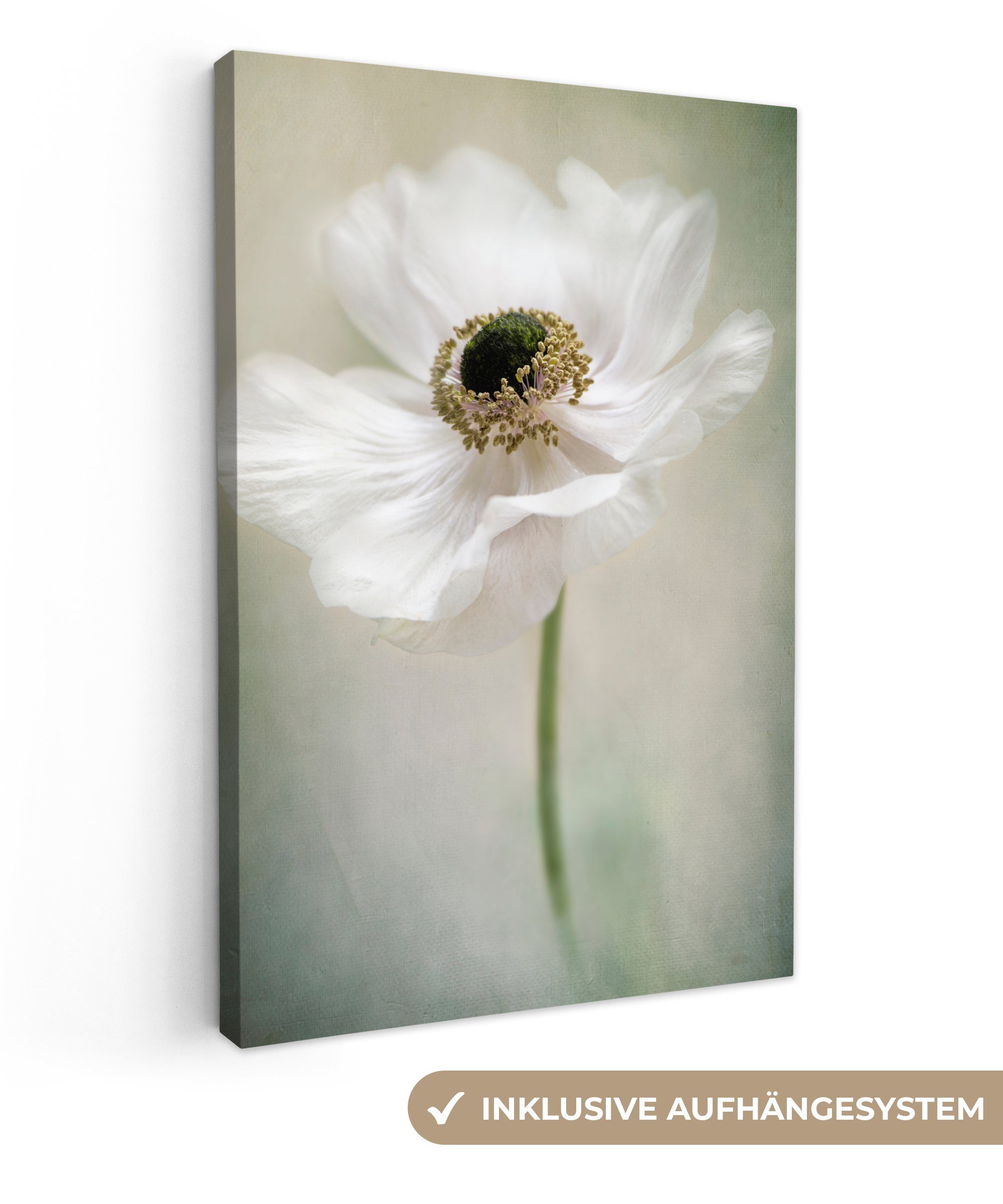 OneMillionCanvasses® Leinwandbild Blumen - Natur - günstig online kaufen