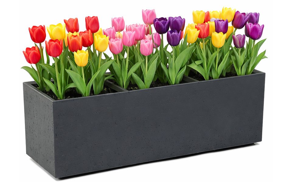 ONDIS24 Pflanzkübel Blumenkübel Pflanzkasten Caro 90 Blumentopf rollbar 42L, mit 6 Rollen, UV-beständig & frostsicher, 100 % recycelter Kunststoff