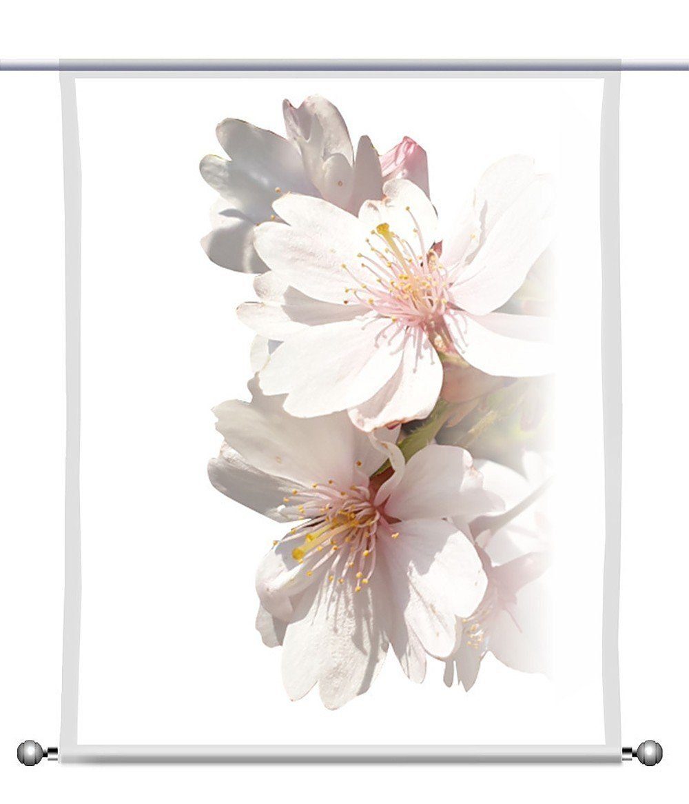 gardinen-for-life Scheibengardine Scheibenhänger Mandeltraum - rechteckig mit Beschwerung, transparent