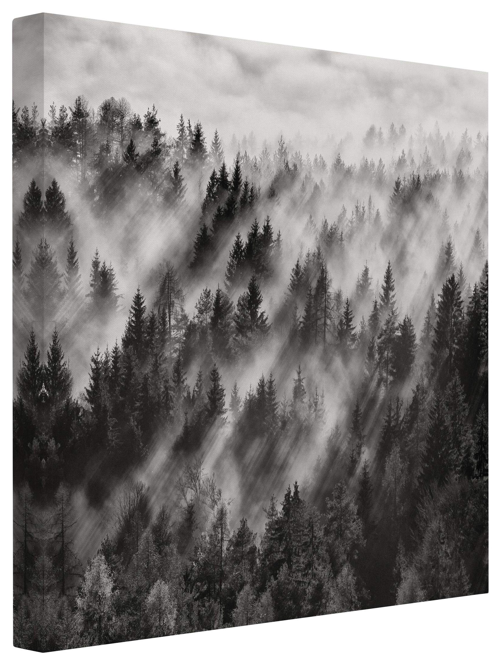 Leinwandbild Wald Natur Lichtstrahlen Nadelwald schwarz weiss Bild auf Leinwand XXL