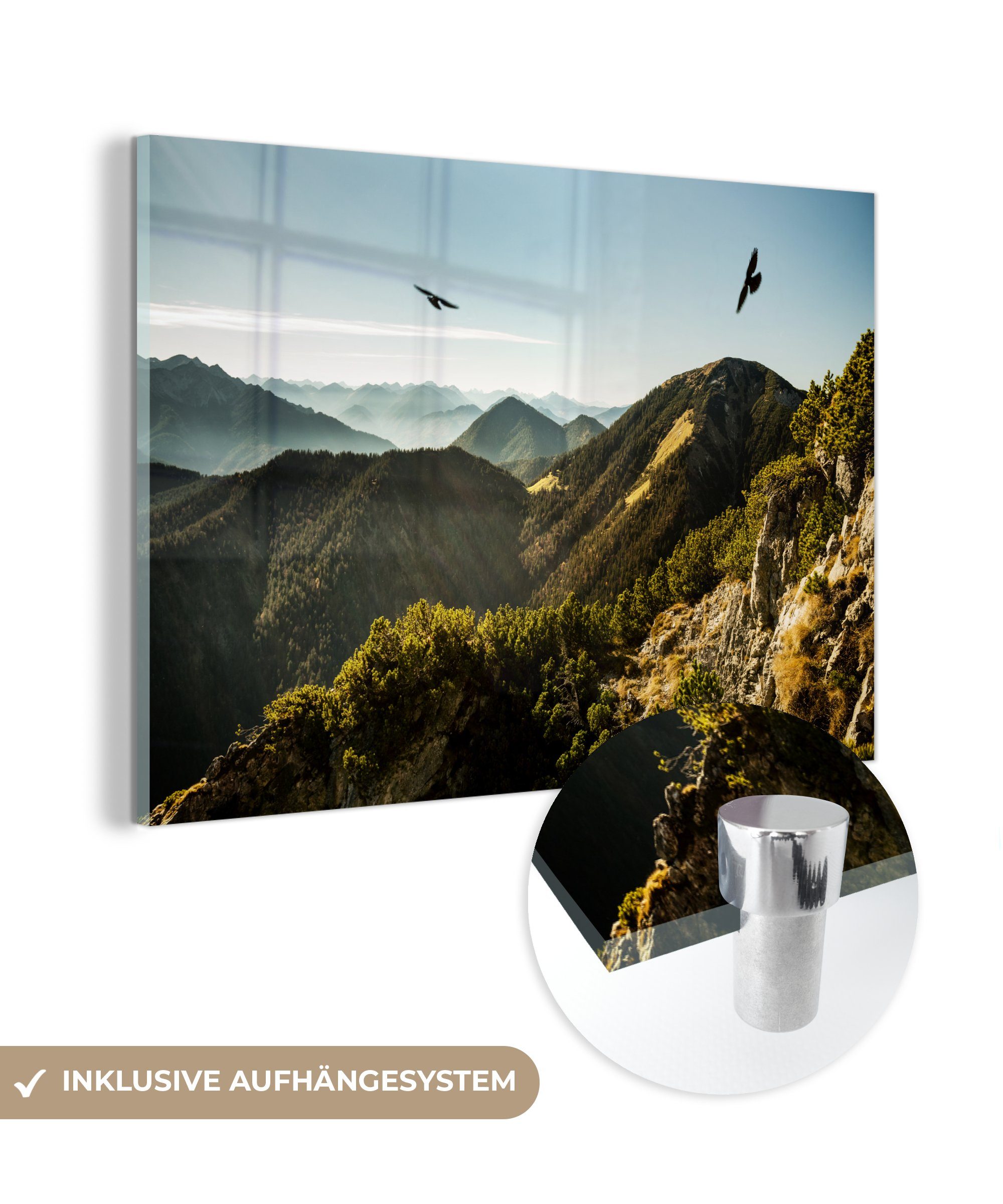 MuchoWow Acrylglasbild Alpen - Vögel - Wald, (1 St), Acrylglasbilder Wohnzimmer & Schlafzimmer
