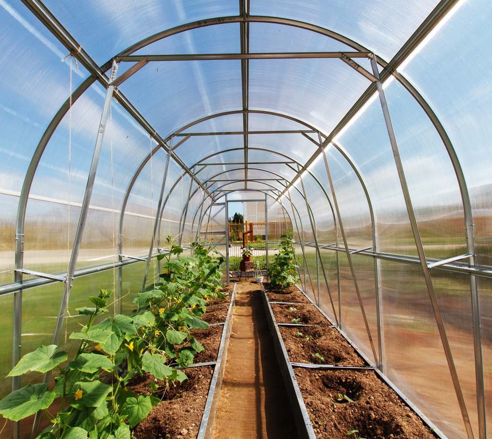 WESTMANN Gewächshaus, x 220  | Rabatt: ...