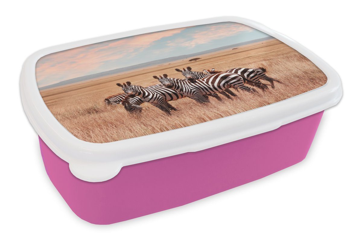 MuchoWow Lunchbox Zebras auf dem rosa Kunststoff Kinder, Snackbox, Lande, für Kunststoff, (2-tlg), Brotbox Brotdose Mädchen, Erwachsene