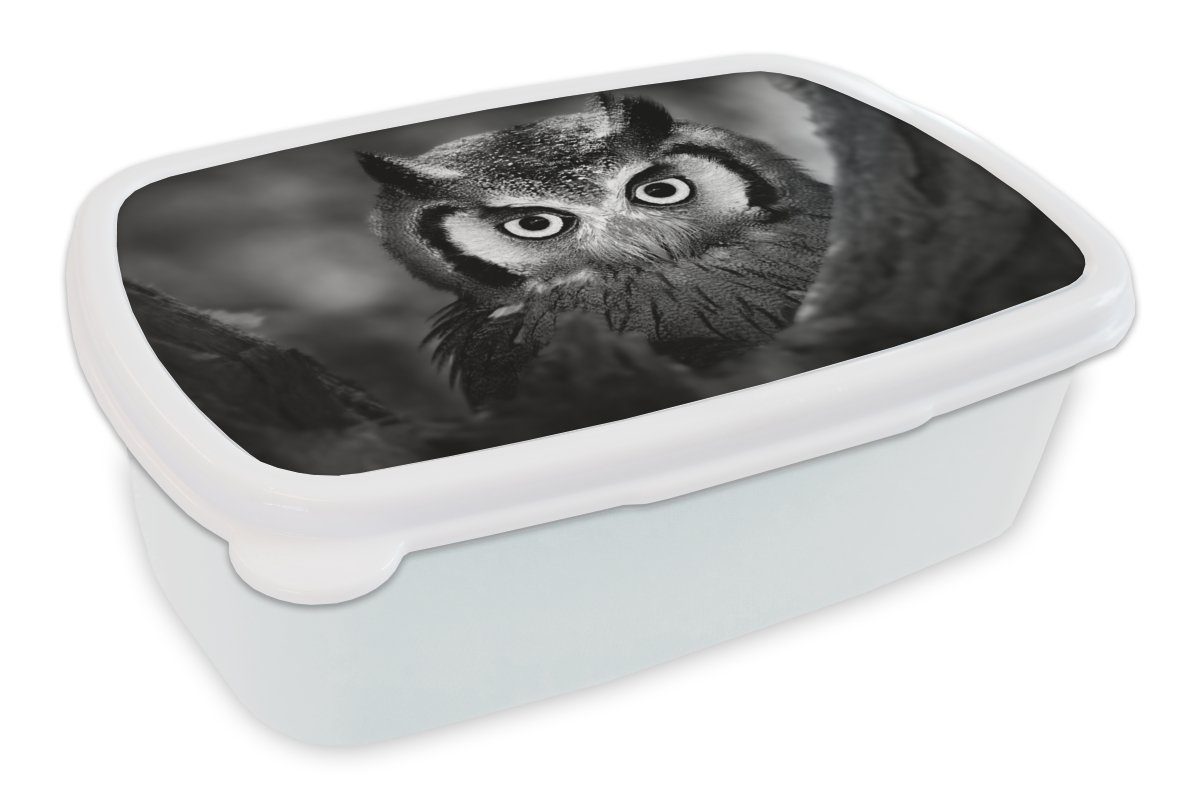 MuchoWow Lunchbox Vogel - Eule - Porträt - Schwarz - Weiß, Kunststoff, (2-tlg), Brotbox für Kinder und Erwachsene, Brotdose, für Jungs und Mädchen