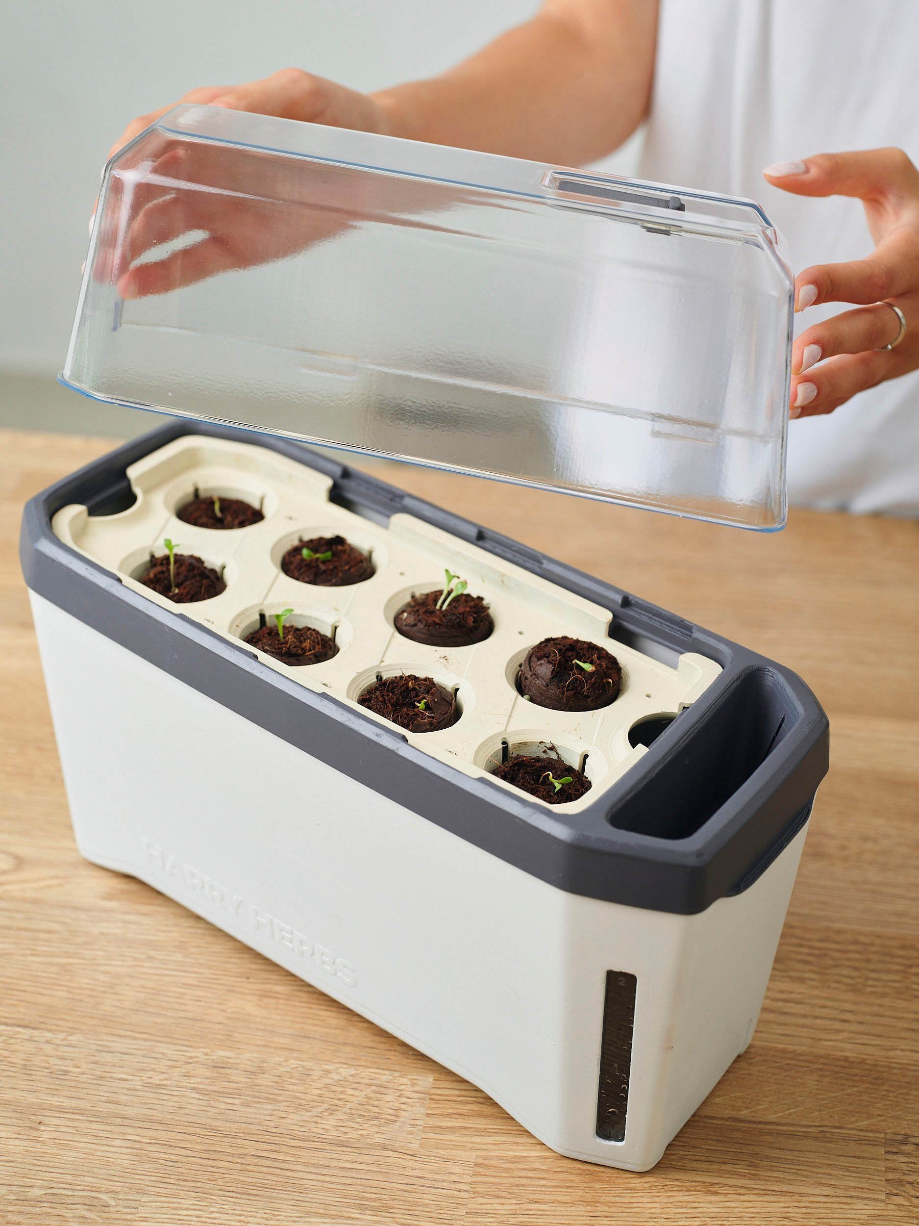 Gusta Garden Anzuchttopf HARRY HERBS Anzuchthaube Wasserreservoir & 1 Kräutertopf, mit in 4 weiß